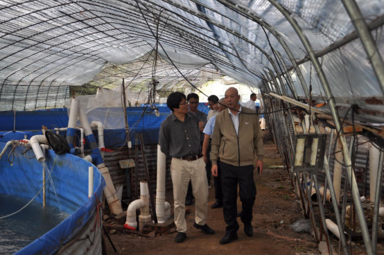 1762219491385988.png image.png