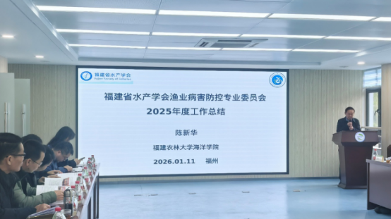 1768352838593359.png image.png